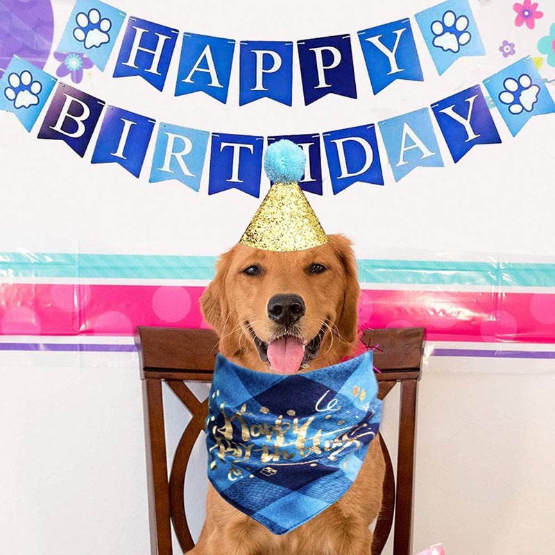 Christmas Hat or birthday hat for pets