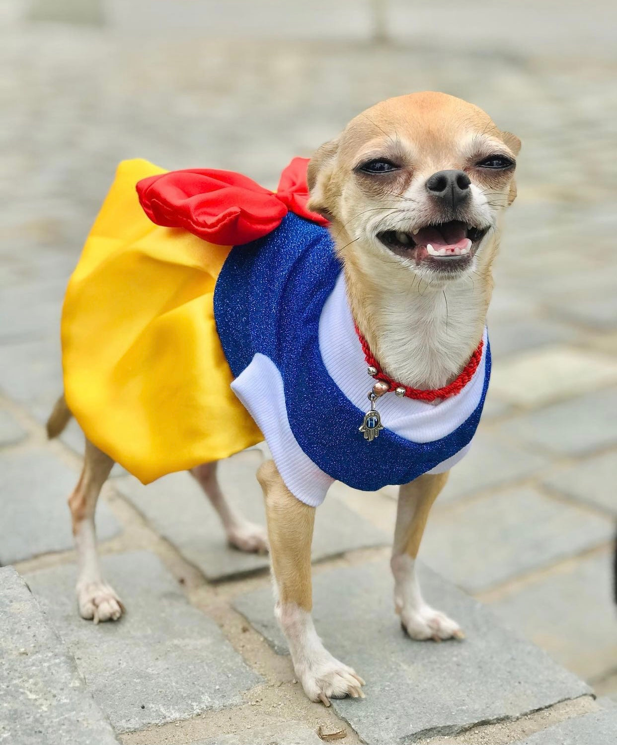 Snow White Pets Costume