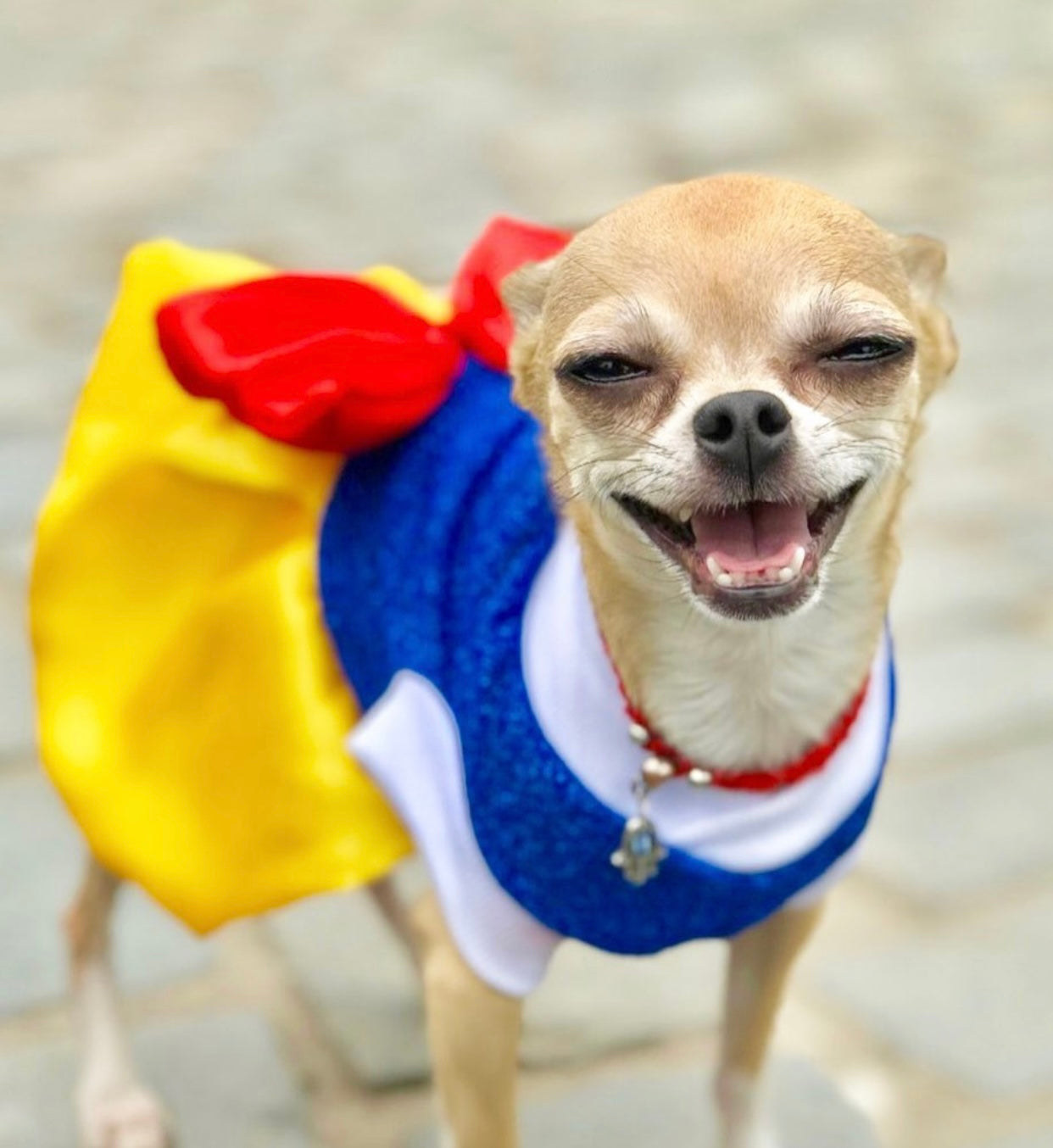 Snow White Pets Costume