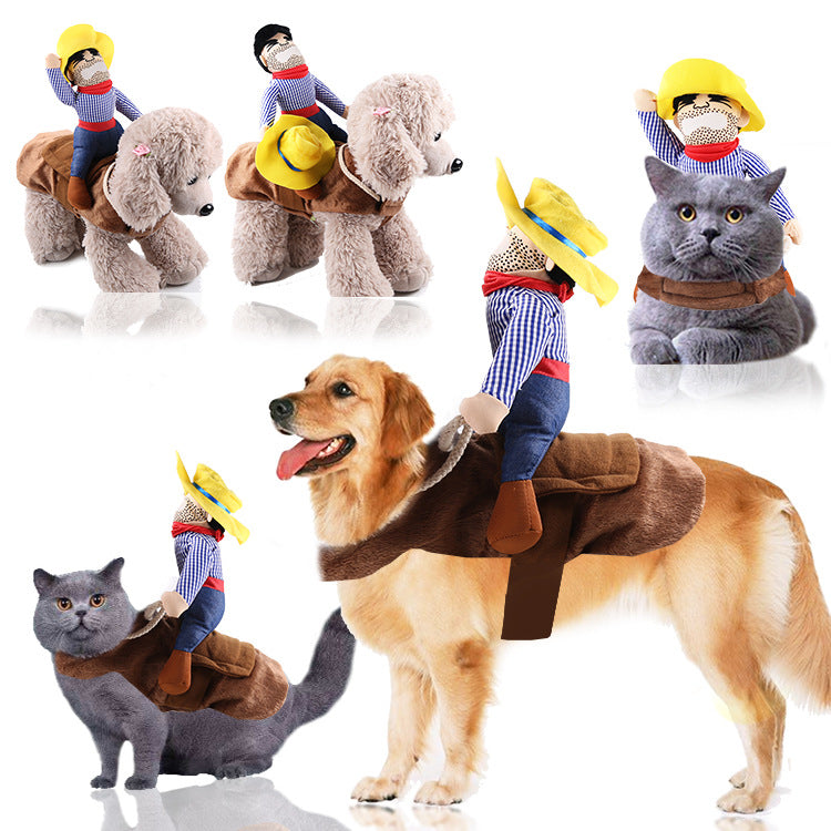 Funniest outfits for pets