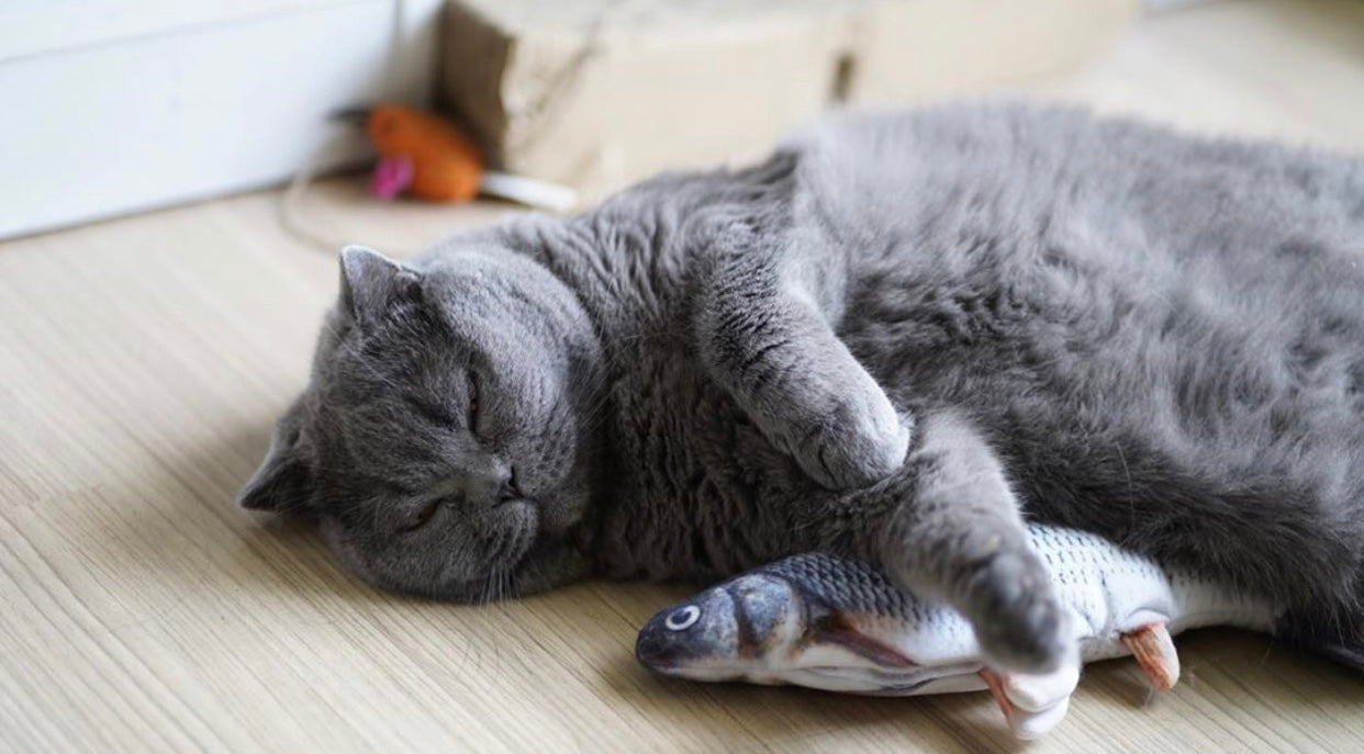 Catnip Fish with sound for Pets