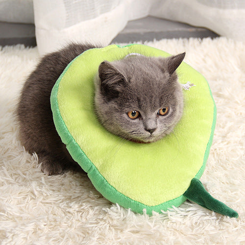 After surgery Anti bite Avocado Collar for pets