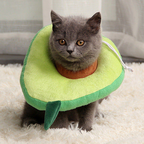 After surgery Anti bite Avocado Collar for pets