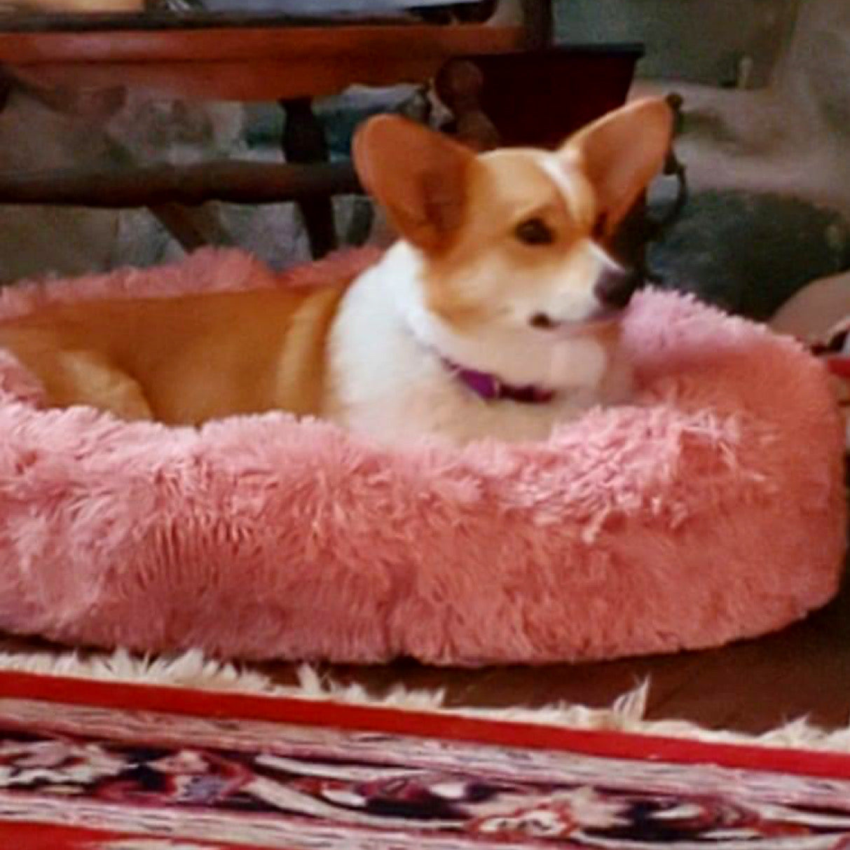 Marshmallow Pets Bed [HOT Selling!]