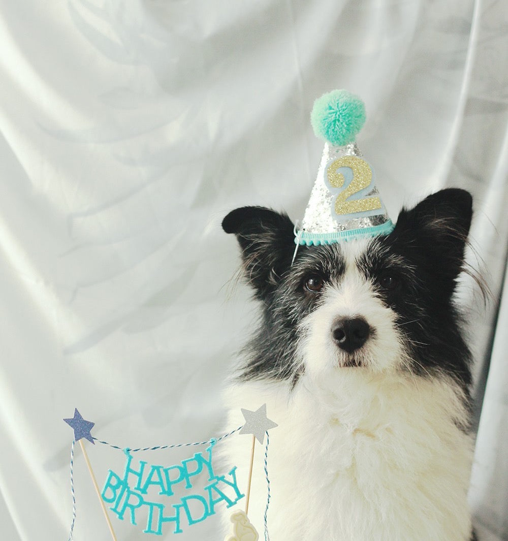 Christmas Hat or birthday hat for pets