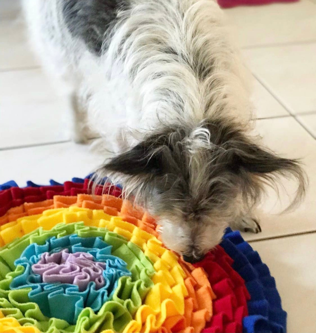 Pets Puzzle Toys Increase IQ Snuffle Mat-Rainbow Love