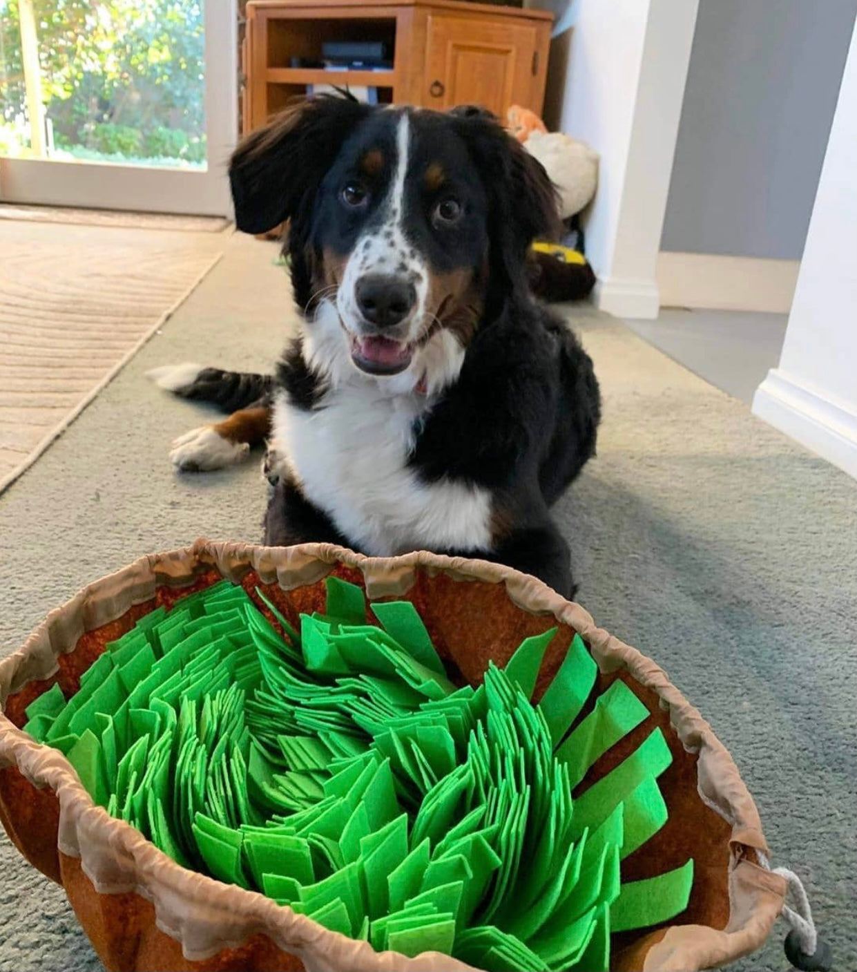 New Interactive Puzzle Toys Encourage Natural Foraging Skills Portable Nonslip Pet Snuffle Mat Slow Feeder Easy To Clean