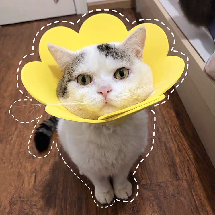 Sunflowers Anti Bite Healing Wound Pet Collar Cone Supplies