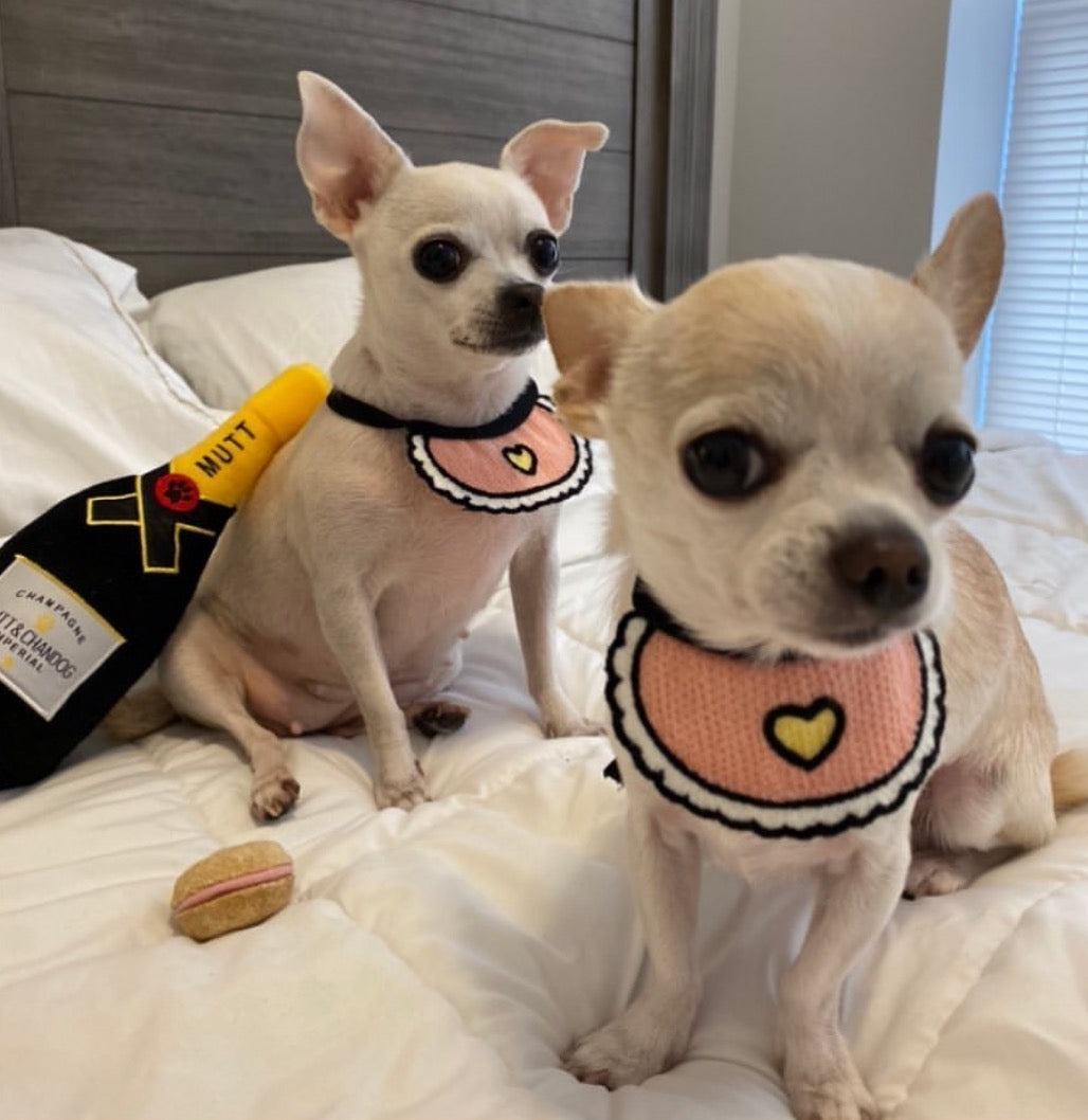 Love Pink Bibs for pets