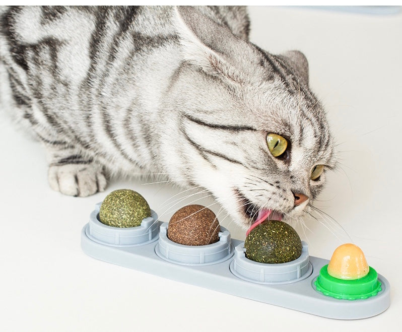 Catnip Treats Assortment