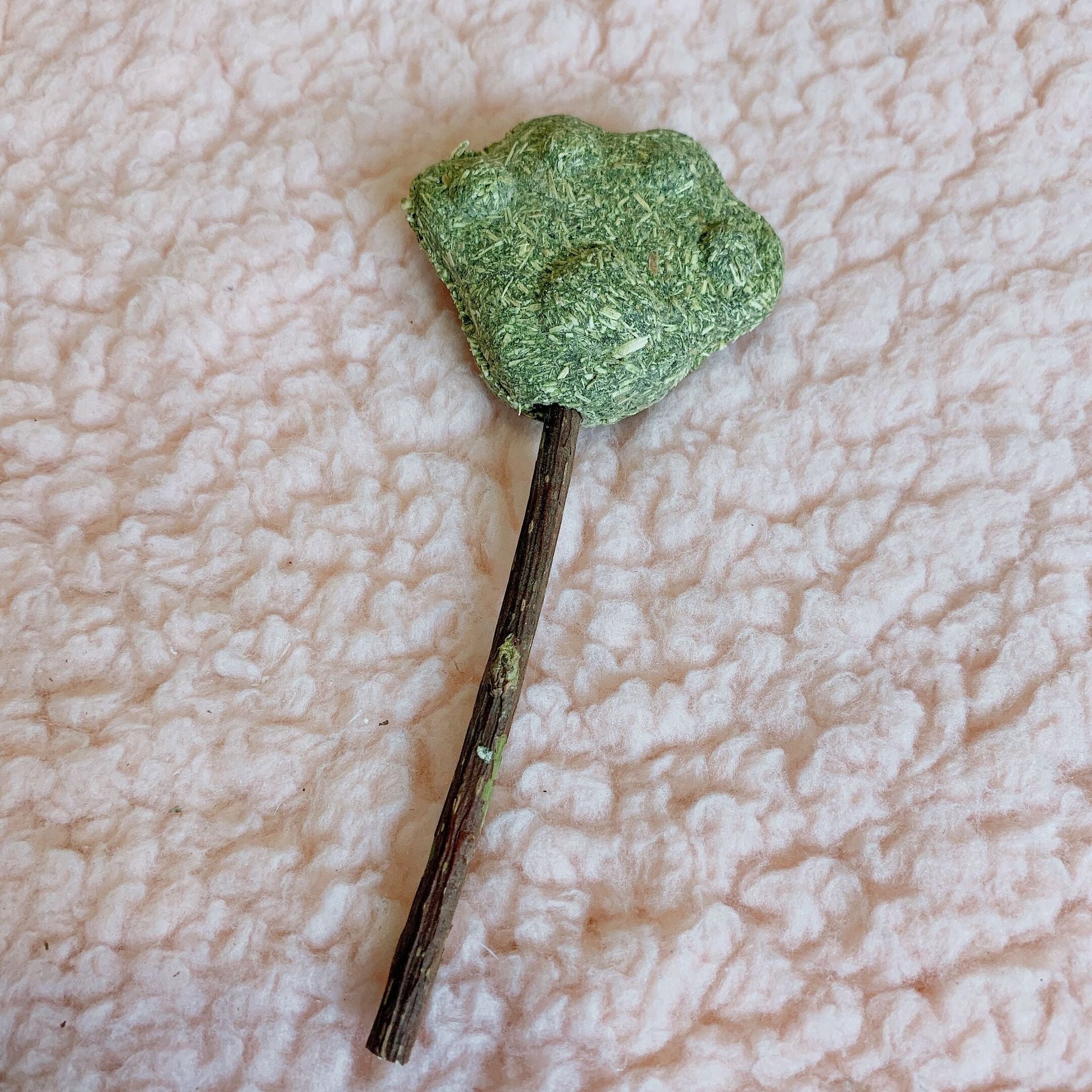 Catwort lollipop