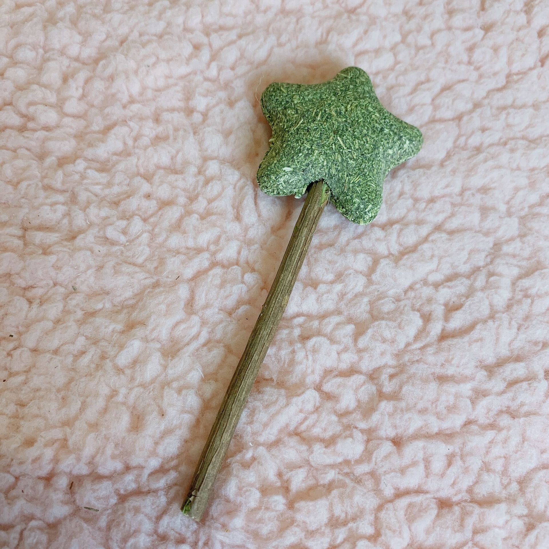 Catwort lollipop