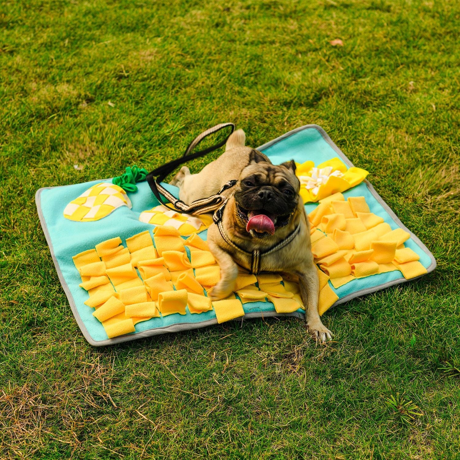 Pets Puzzle Toys Increase IQ Snuffle Mat-Pineapple Party