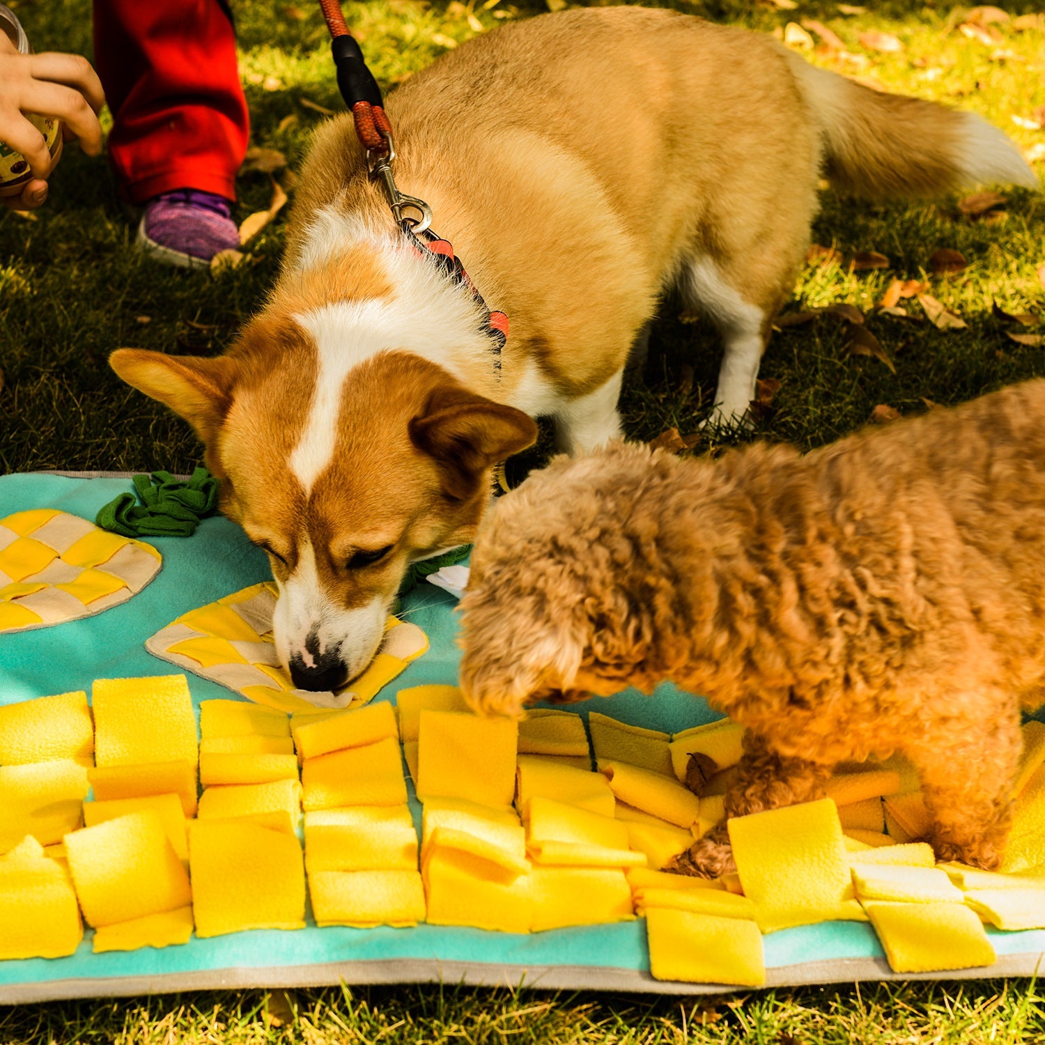 Pets Puzzle Toys Increase IQ Snuffle Mat-Pineapple Party