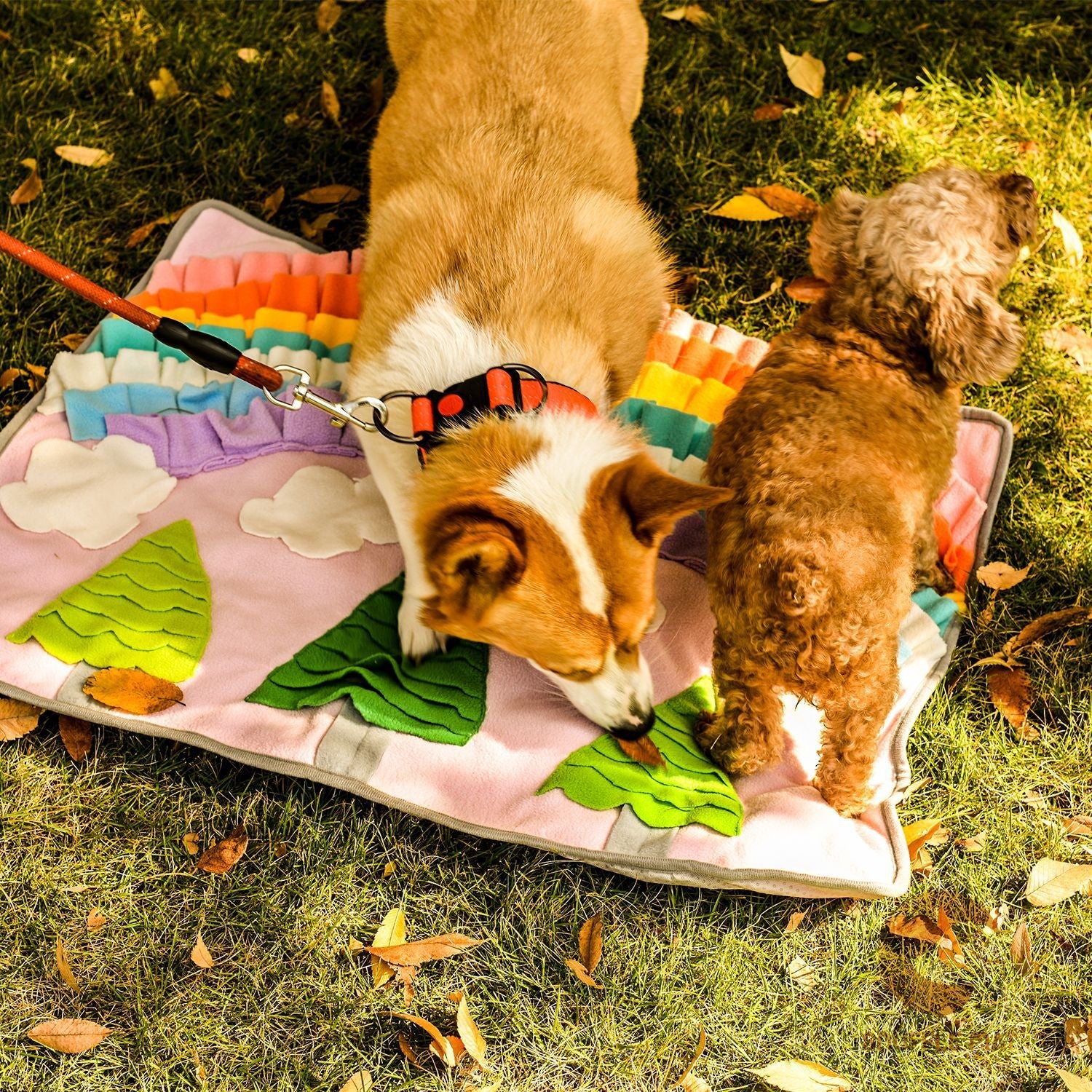 Pets Puzzle Toys Snuffle Mat-Rainbow with Trees