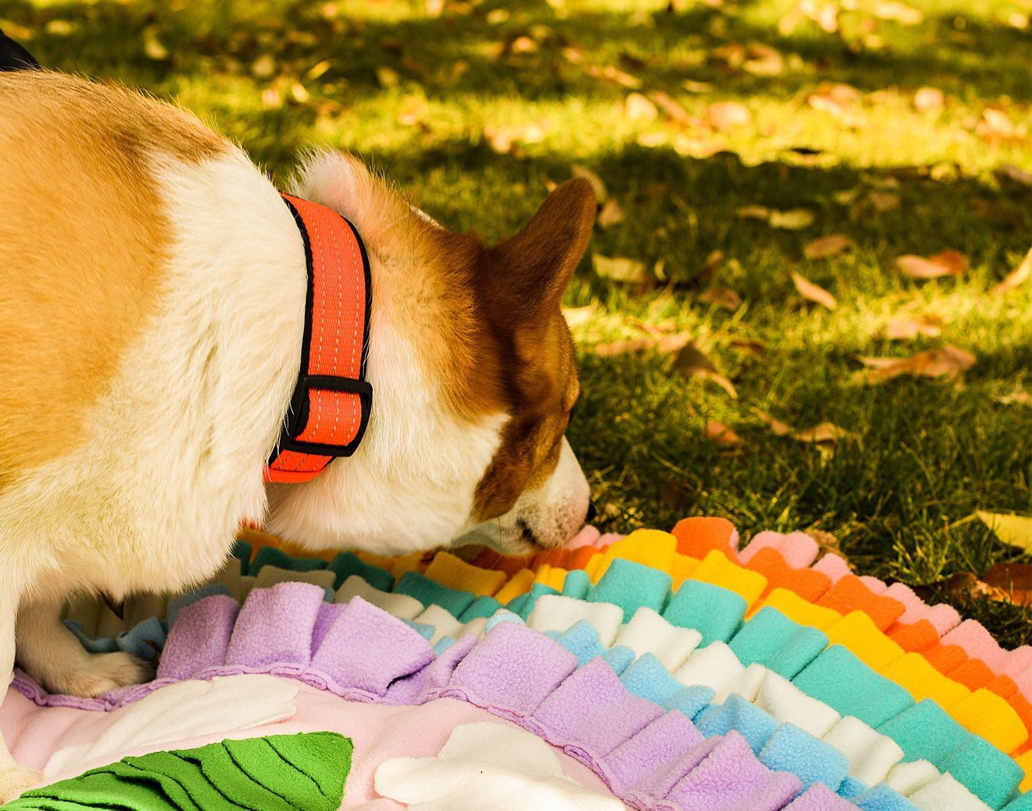 Pets Puzzle Toys Snuffle Mat-Rainbow with Trees