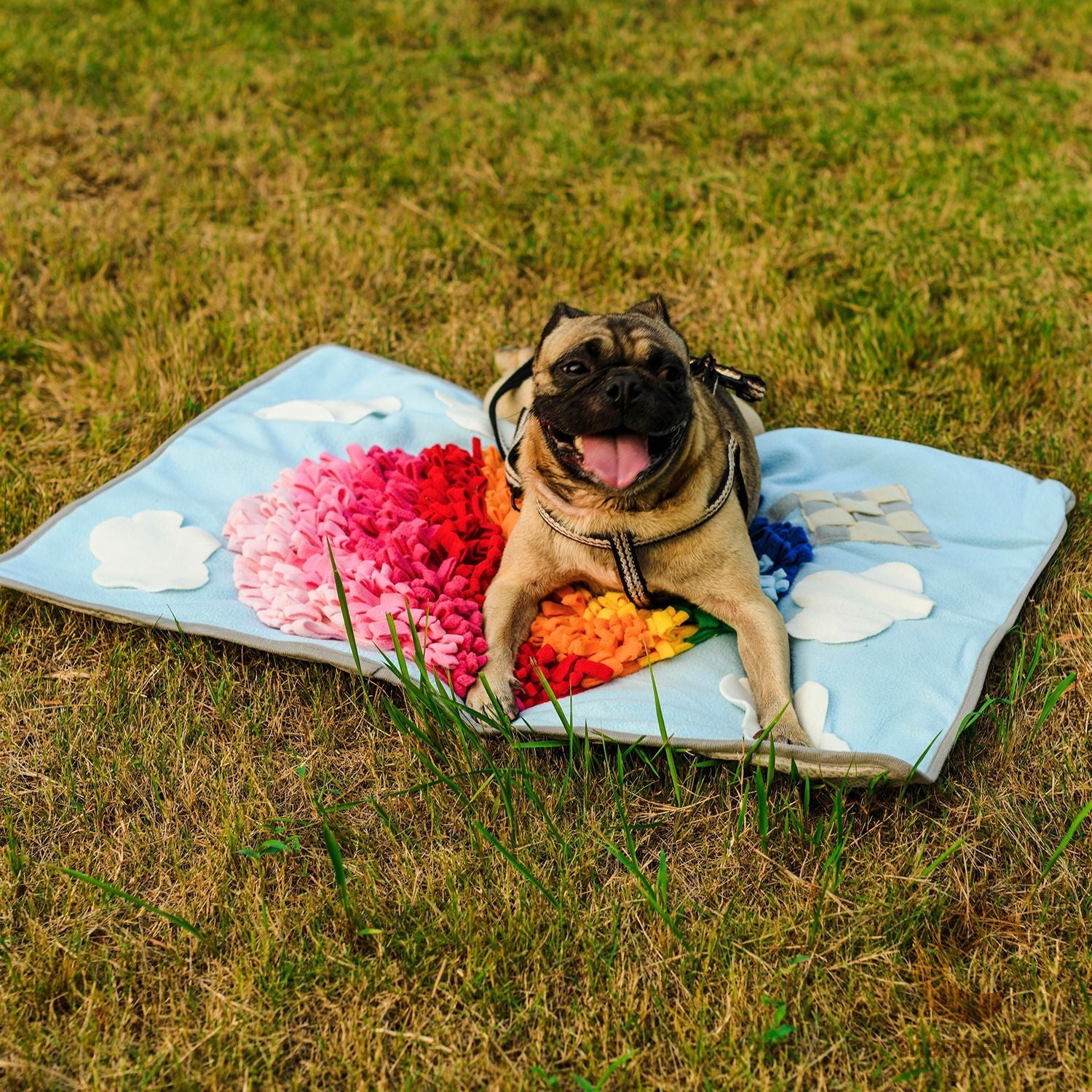 Pets Puzzle Toys Snuffle Mat-Hot Air Balloon