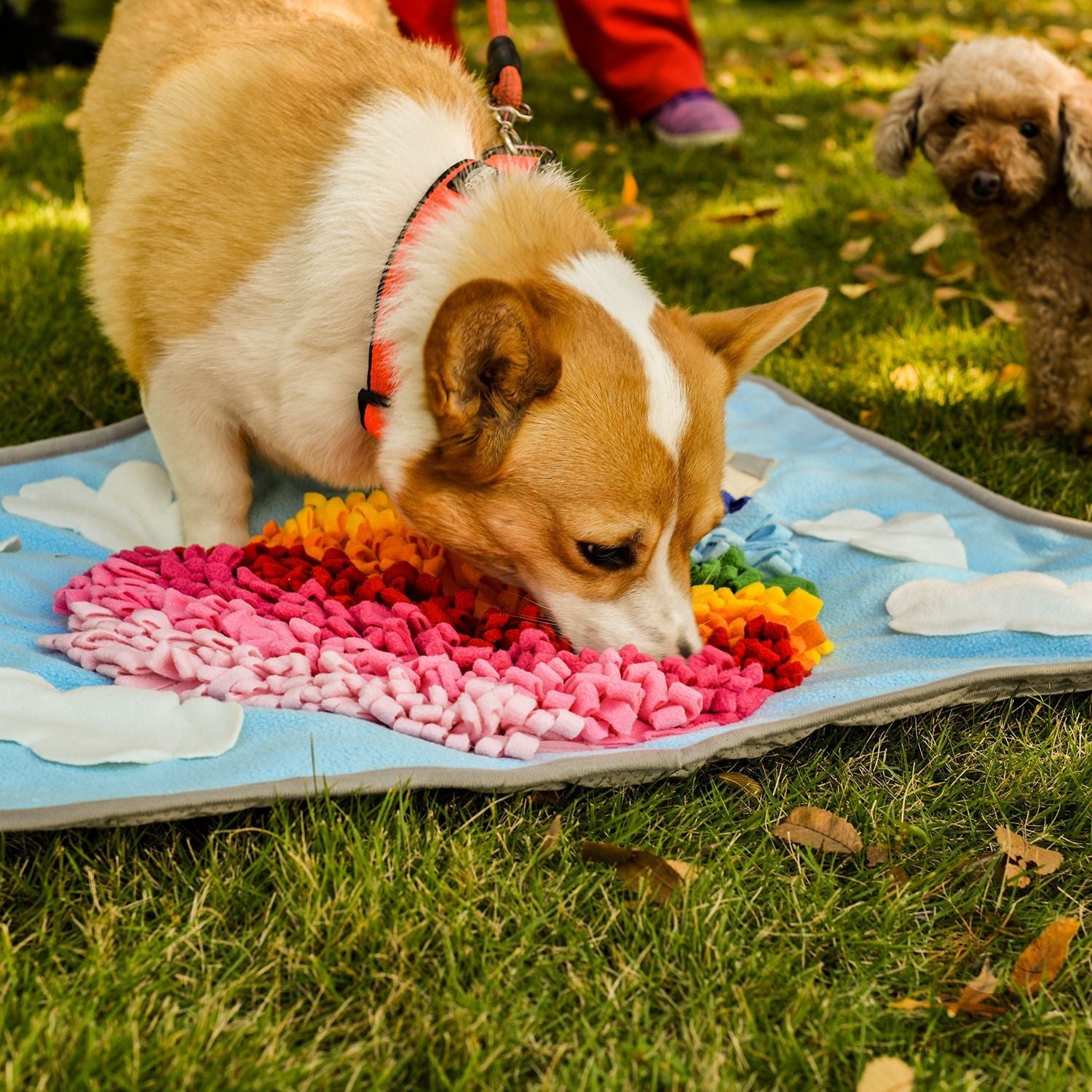 Pets Puzzle Toys Snuffle Mat-Hot Air Balloon