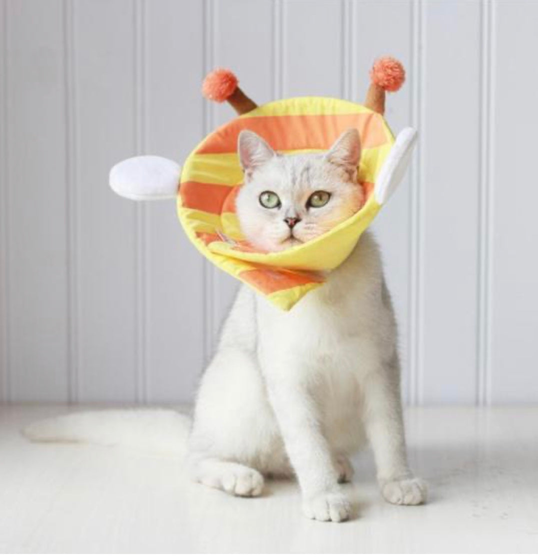 Cute Soft Cat Cone