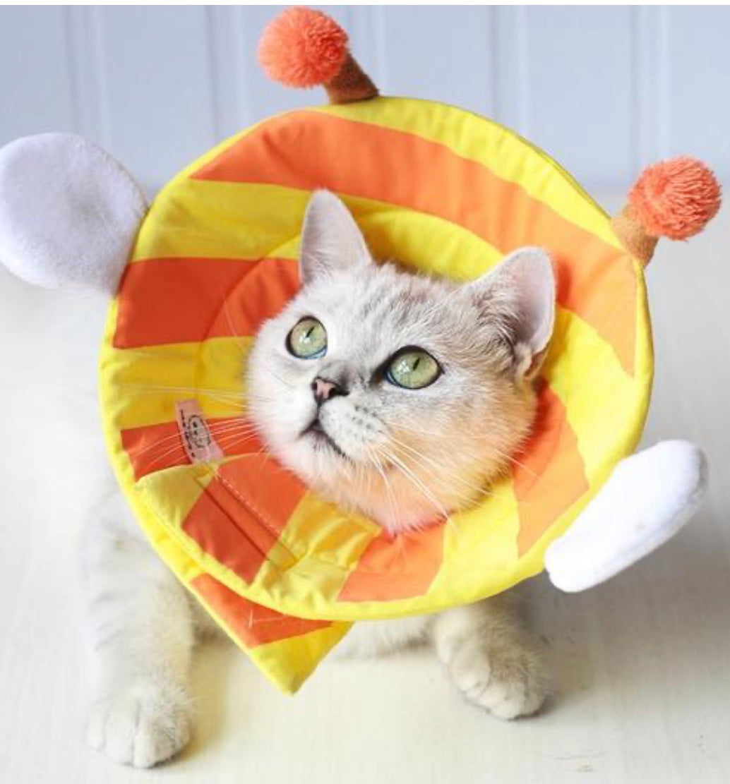 Cute Soft Cat Cone