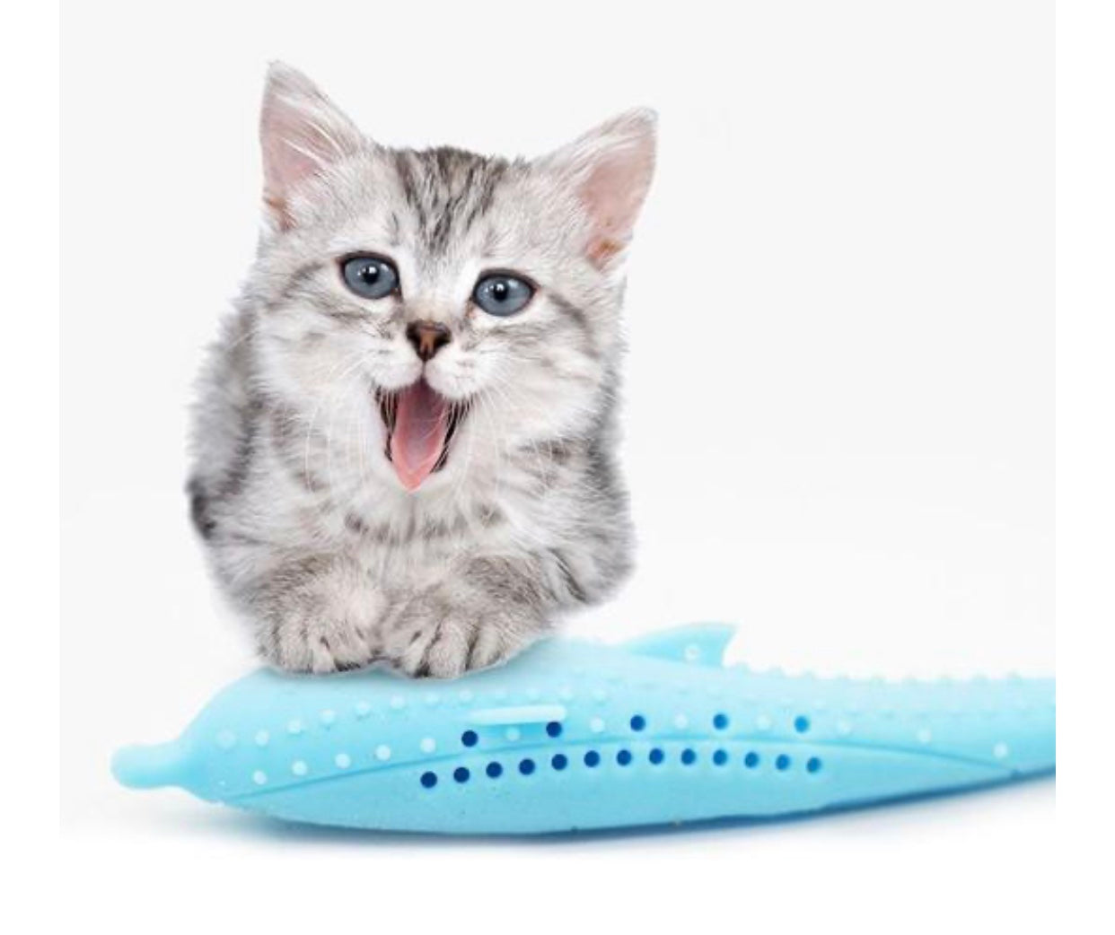 Interactive Cat Toothbrush