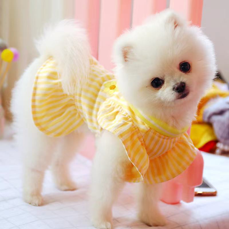 Sunflower Elegant Dress Beautiful Princess Dress for Pets Party Wear