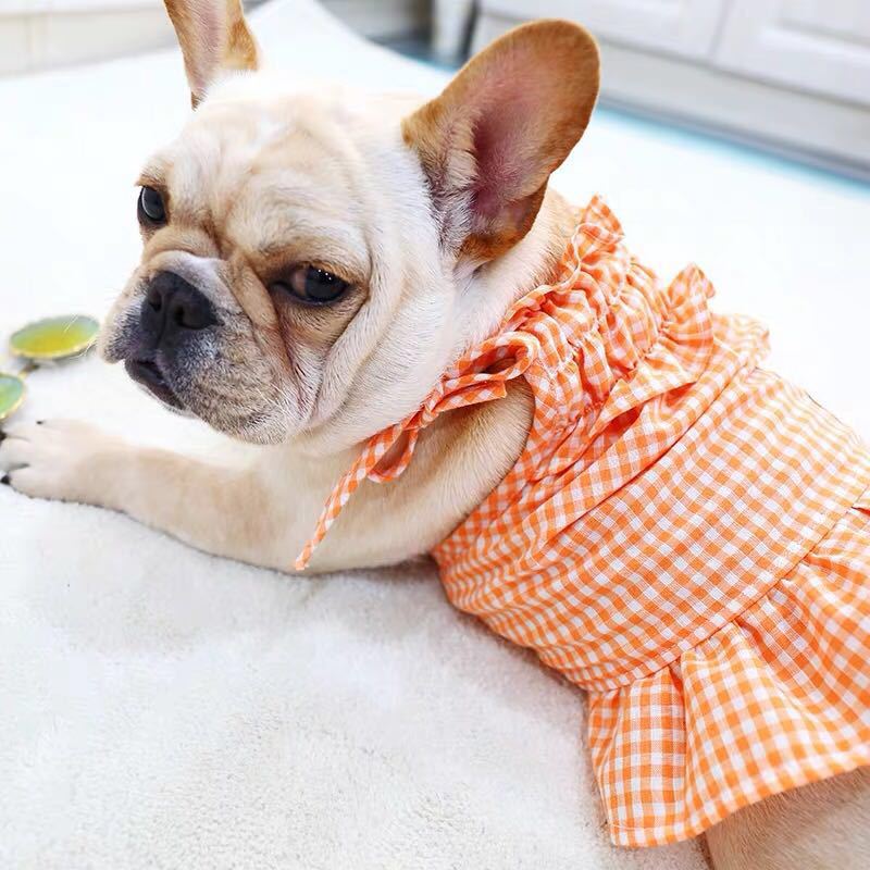 Red Plaid Elegant Dress Beautiful Princess Dress for Pets Party Wear