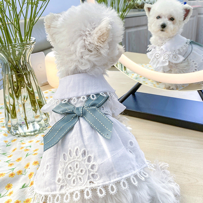 Summer Light Blue Bow Elegant Dress Beautiful Princess Dress for Pets Party Wear