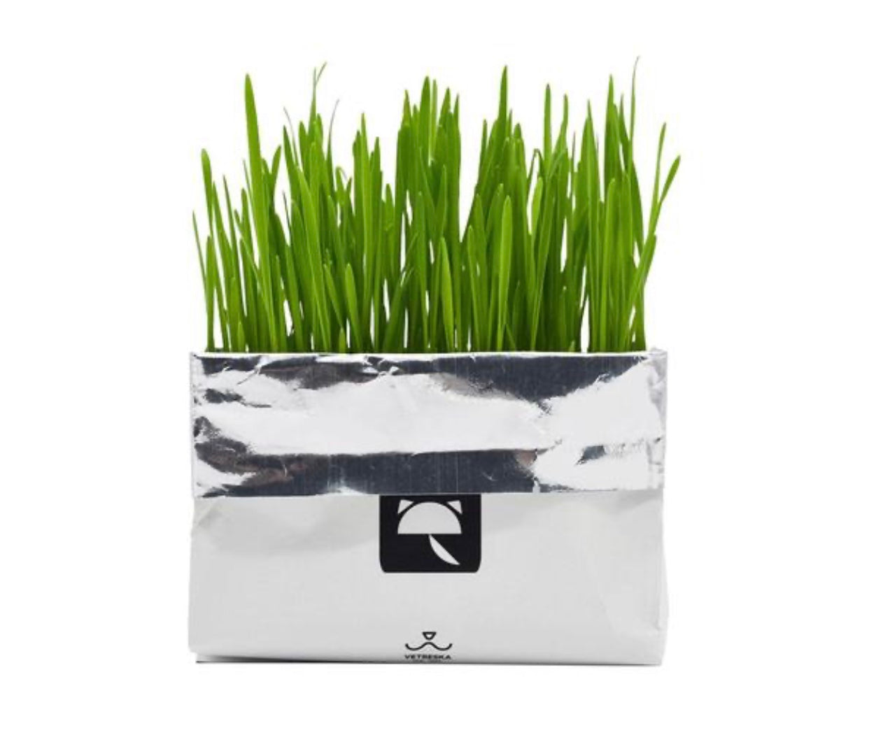 [SALE] All-In-One Cat Grass Kit