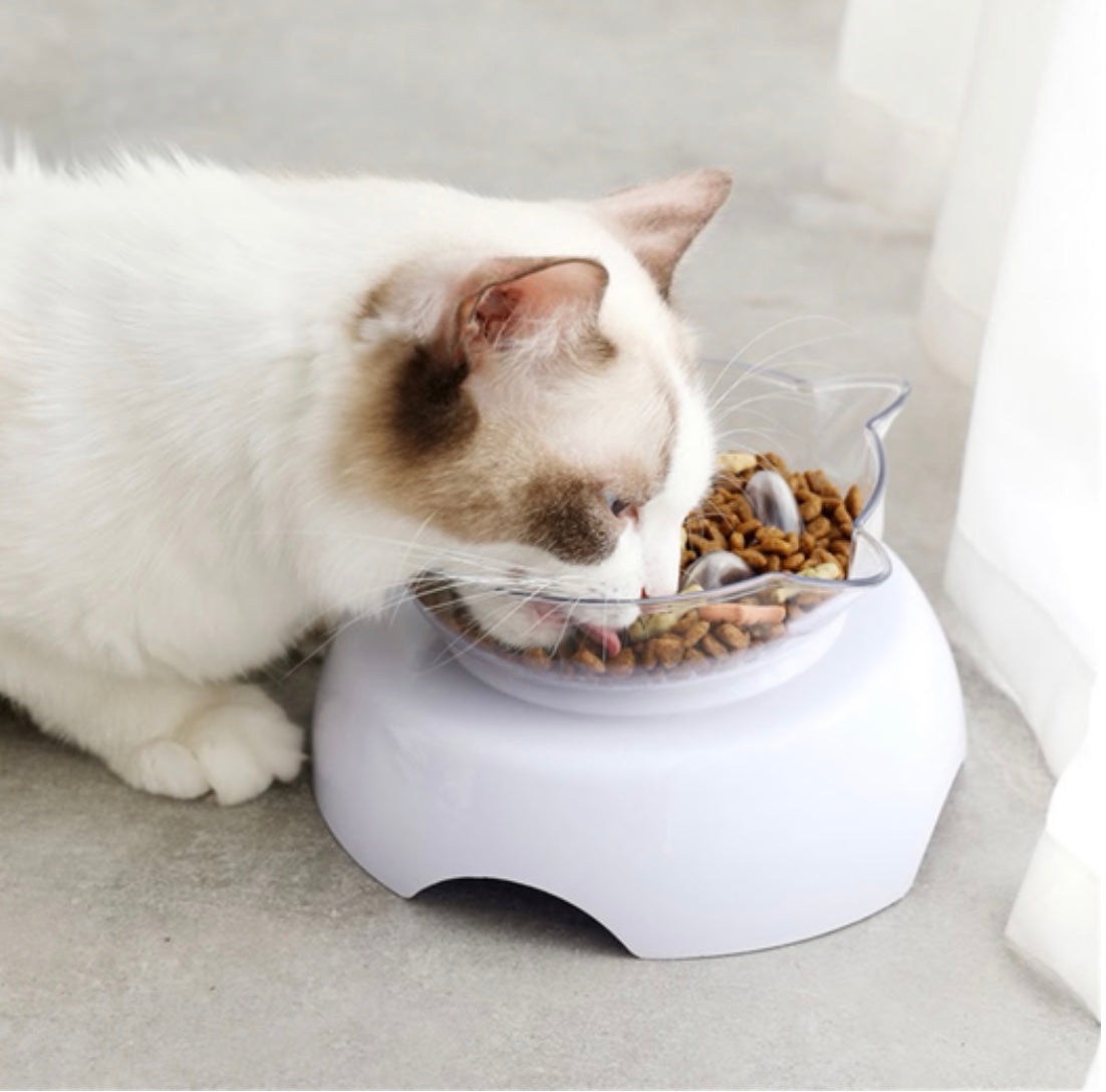 Orthopedic Cat Bowl & Slow Feeder 2-in-1 [Anti-Vomiting]