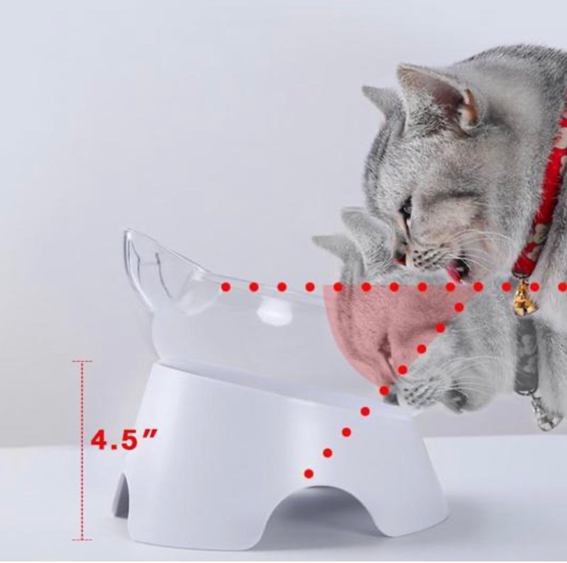 Orthopedic Cat Bowl & Slow Feeder 2-in-1 [Anti-Vomiting]