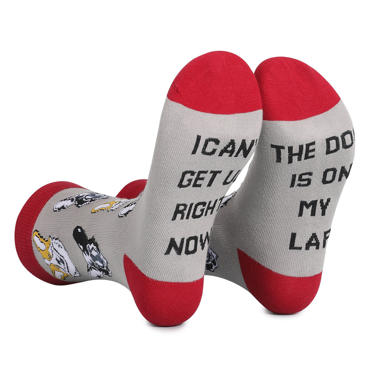 Pawsome Socks #5