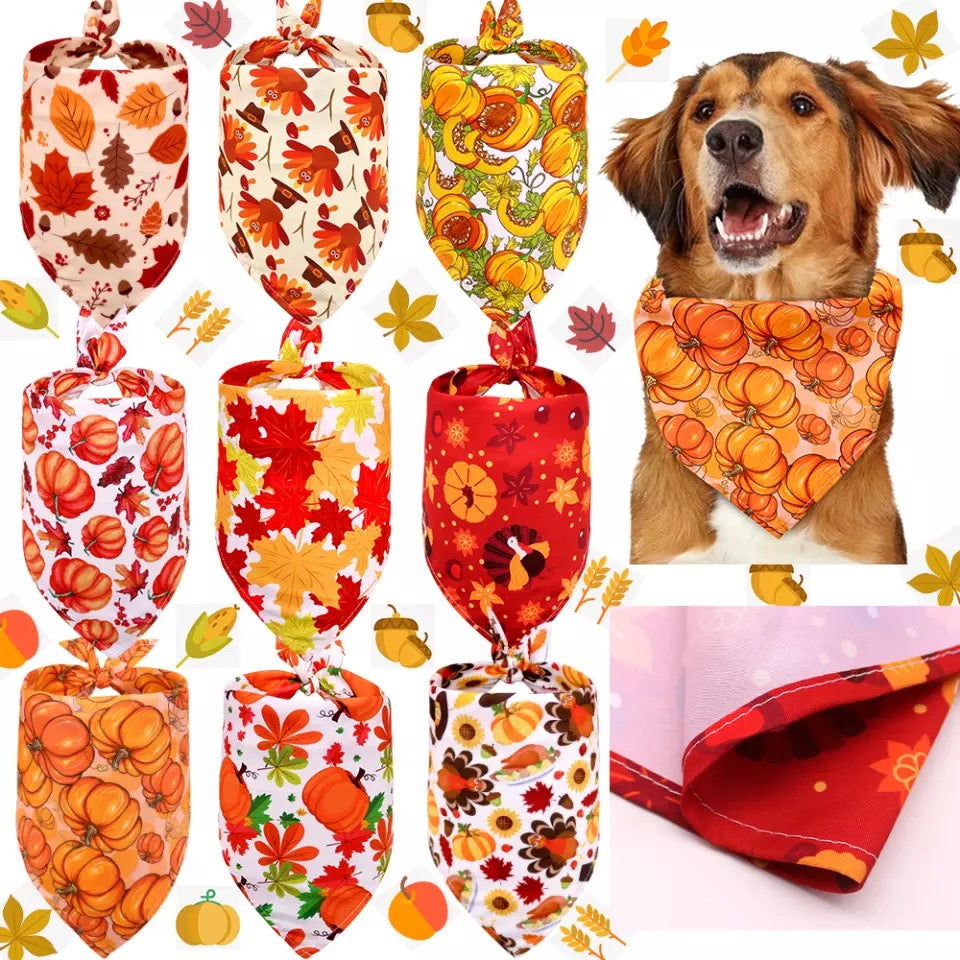 NEW PRODUCT Halloween style bibs for pets