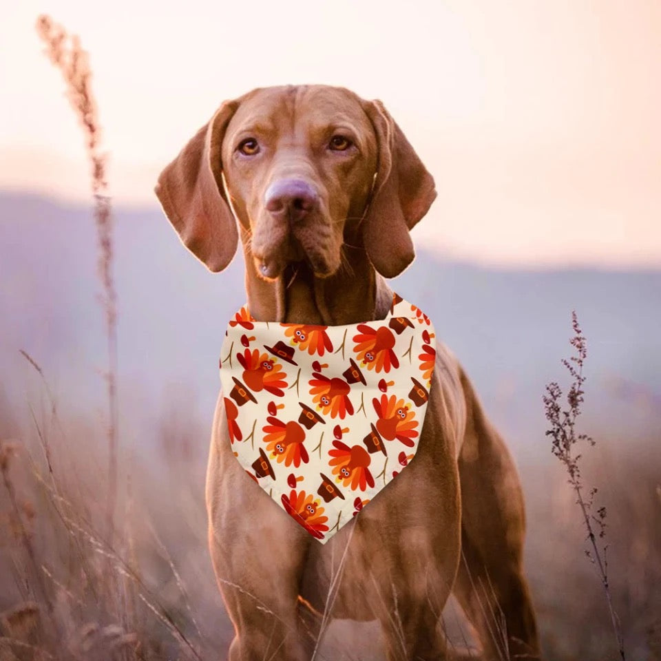 NEW PRODUCT Halloween style bibs for pets