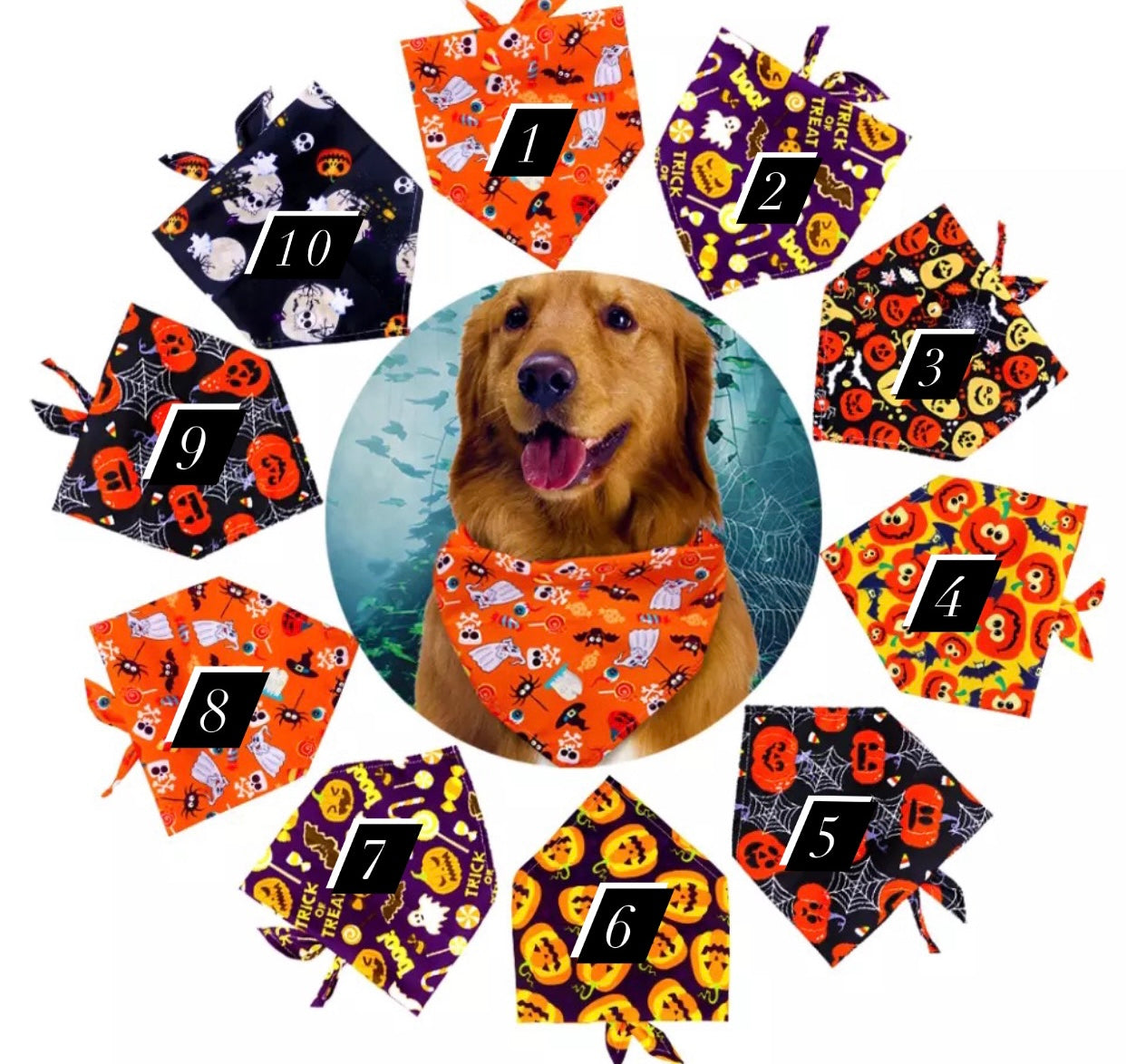 NEW PRODUCT Halloween style bibs for pets