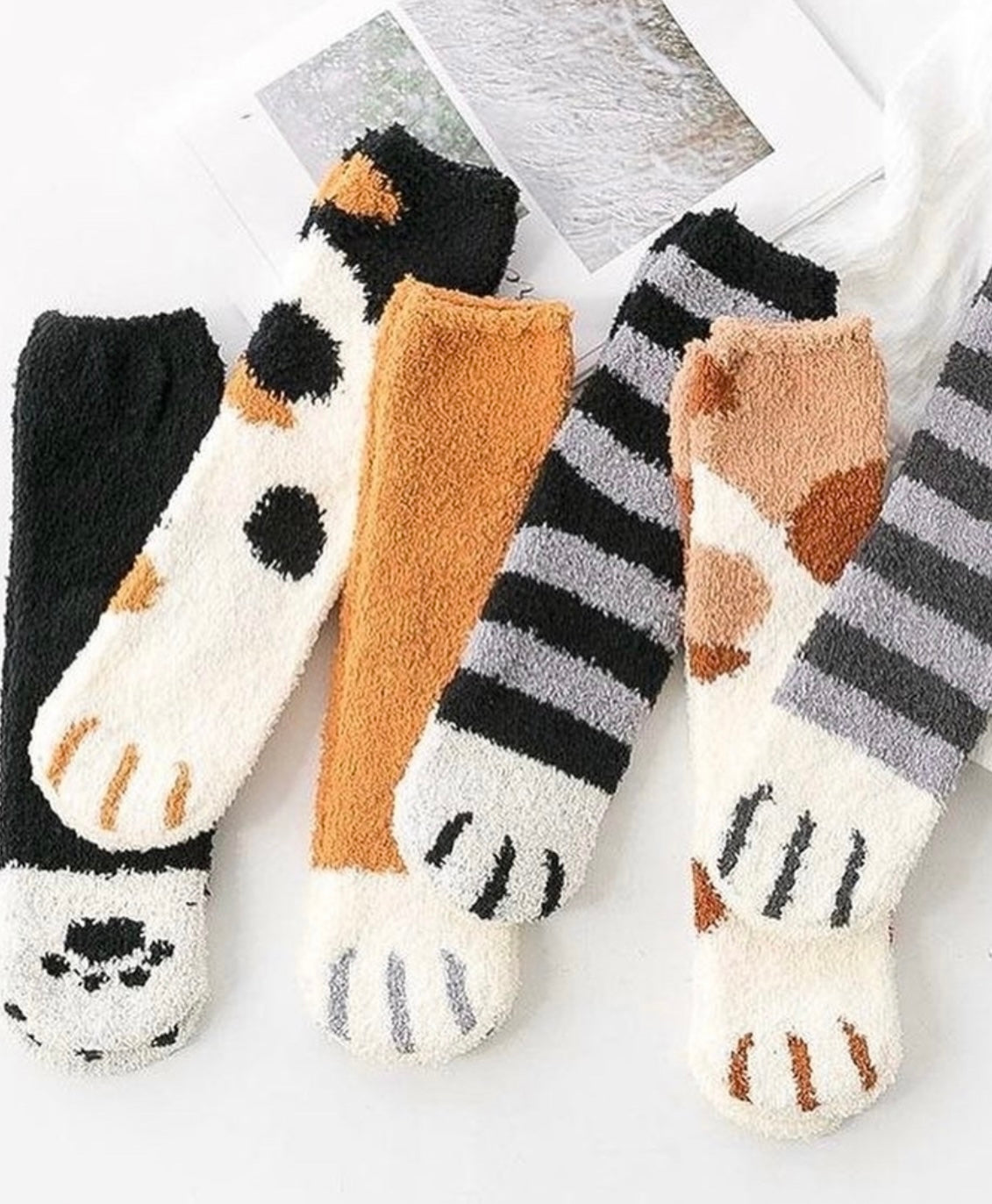 Pawsome Socks #1