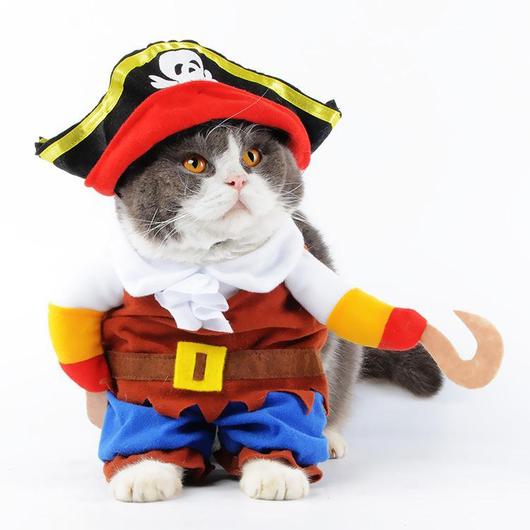 Pirate Cat Costume