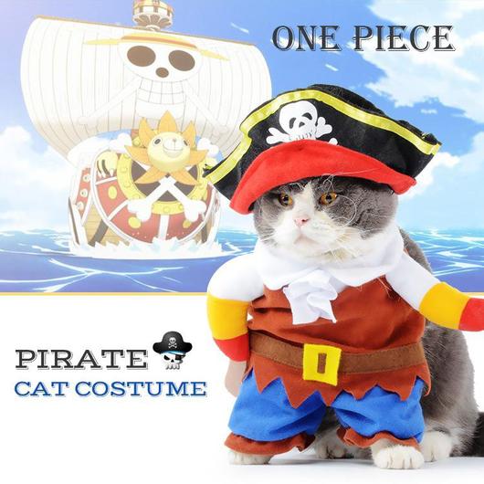 Pirate Cat Costume