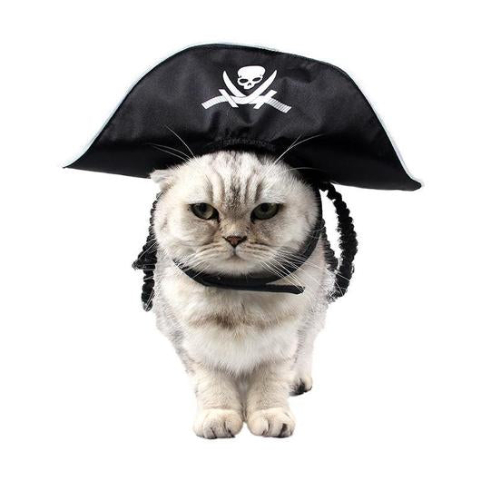 Funny Cats Halloween Pirate Hat