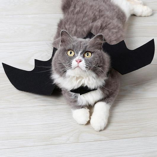 Easy Batwings Cat Halloween Costume