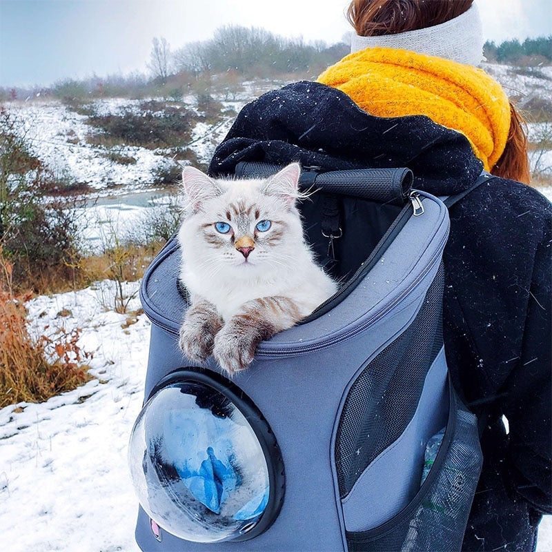 Cats and Dogs Backpack