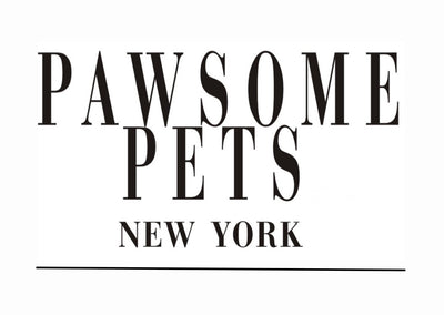 pawsome pets new york for dog lovers