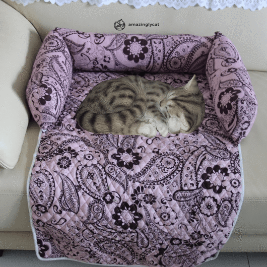 Furniture Saver Comfy Cat Bed