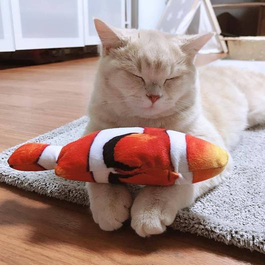 Catnip Fish with sound for Pets