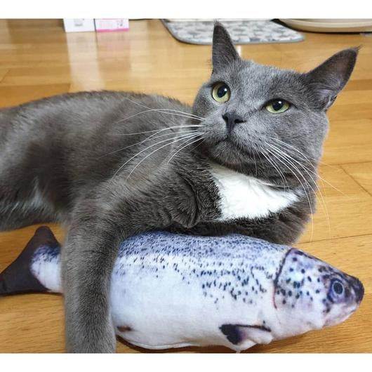 Catnip Fish with sound for Pets