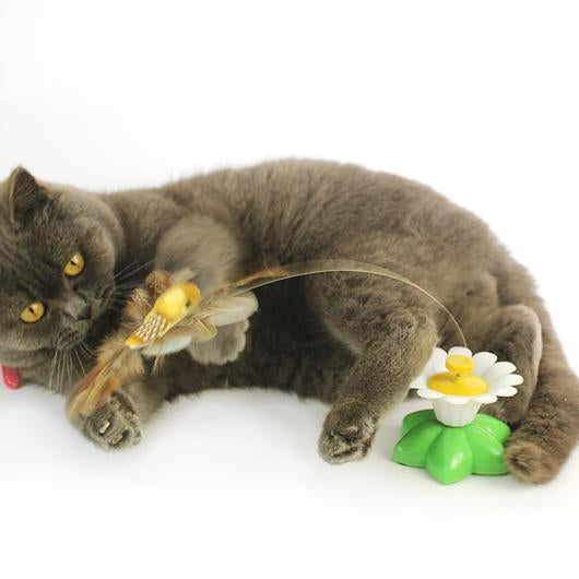 Interactive Bird Toy For Cats