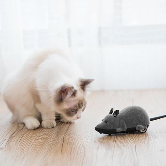 Remote Control Mouse Cat Toy