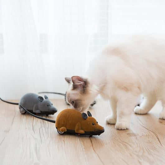 Remote Control Mouse Cat Toy