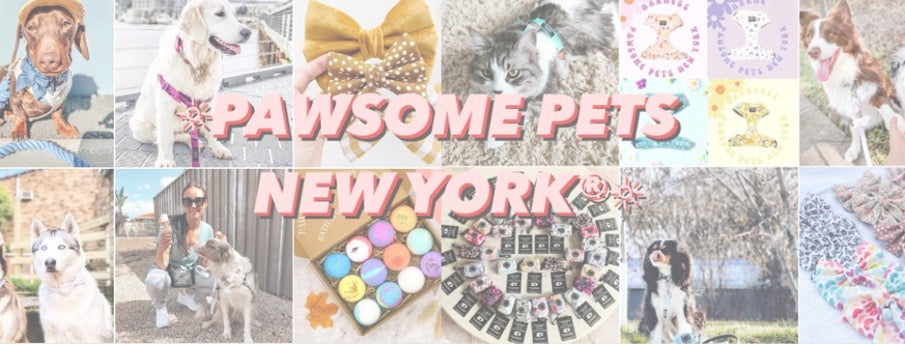 Pawsome Pets New York modern and high quality products for pets