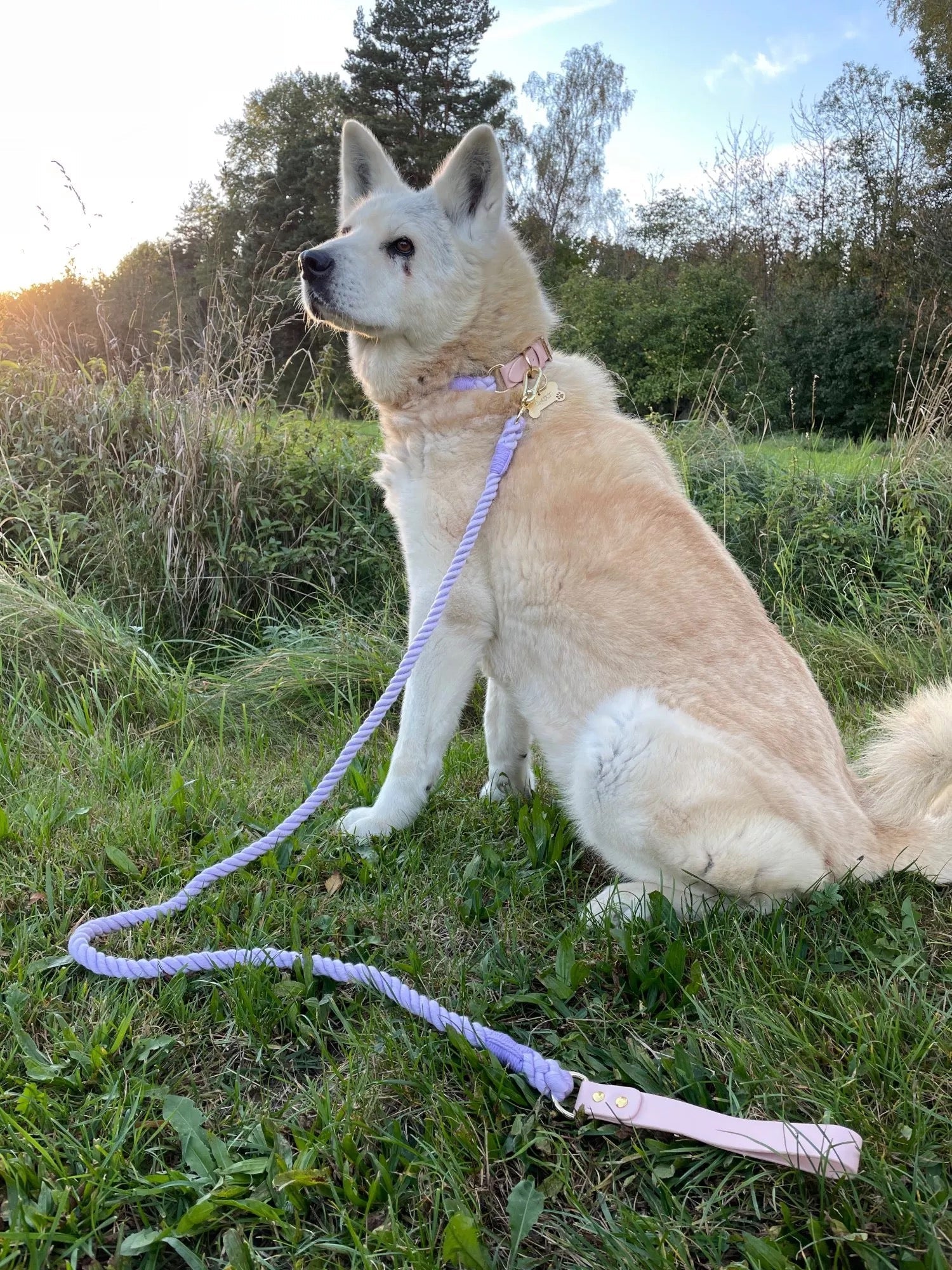 Luxe Royal Pink Leather Rope Leash - Bright Gold